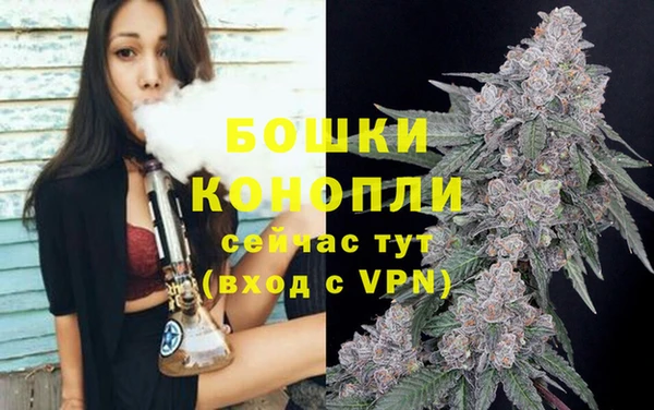 мдпв Вяземский