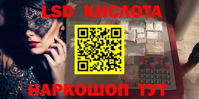 индика Гатчина