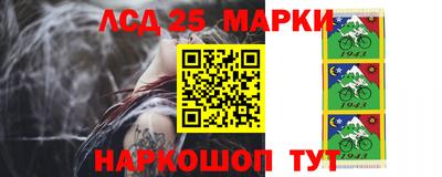 индика Гатчина