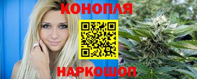 стаф Бузулук