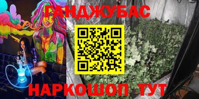 индика Гатчина