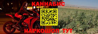 спайс Будённовск