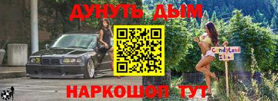 индика Гатчина