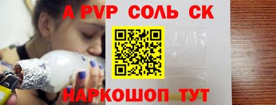 индика Гатчина