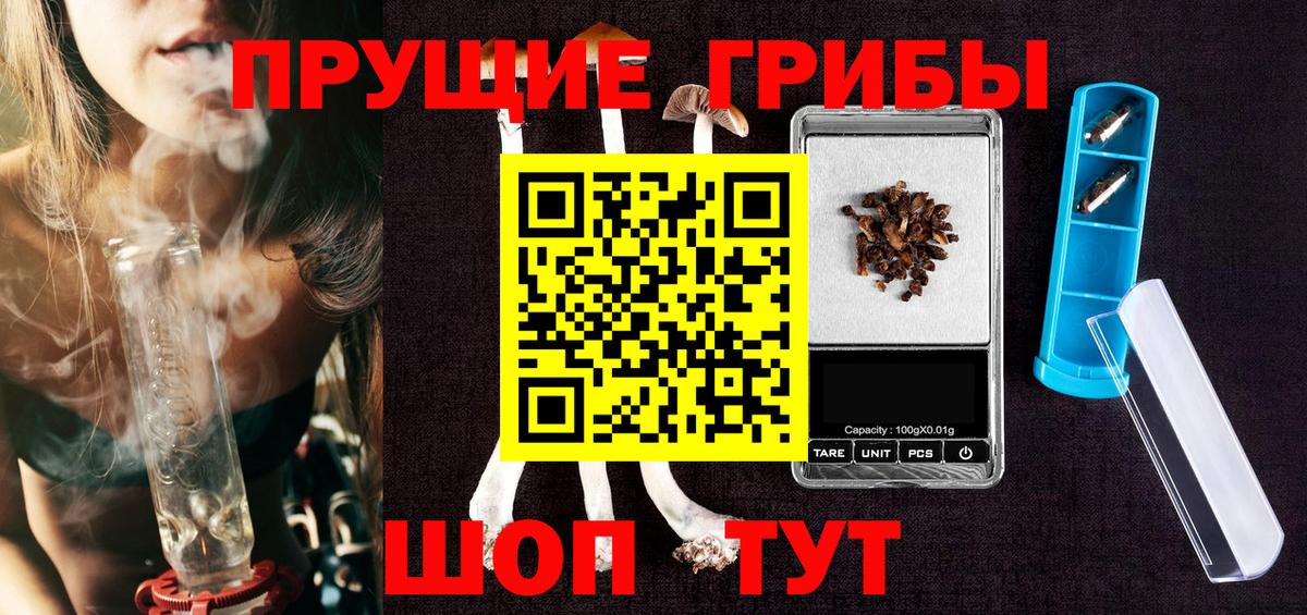 Жуковский  Псилоцибиновые грибы мицелий  купить  сайты  Вход с VPN  Галлюциногенные грибы Magic Shrooms 