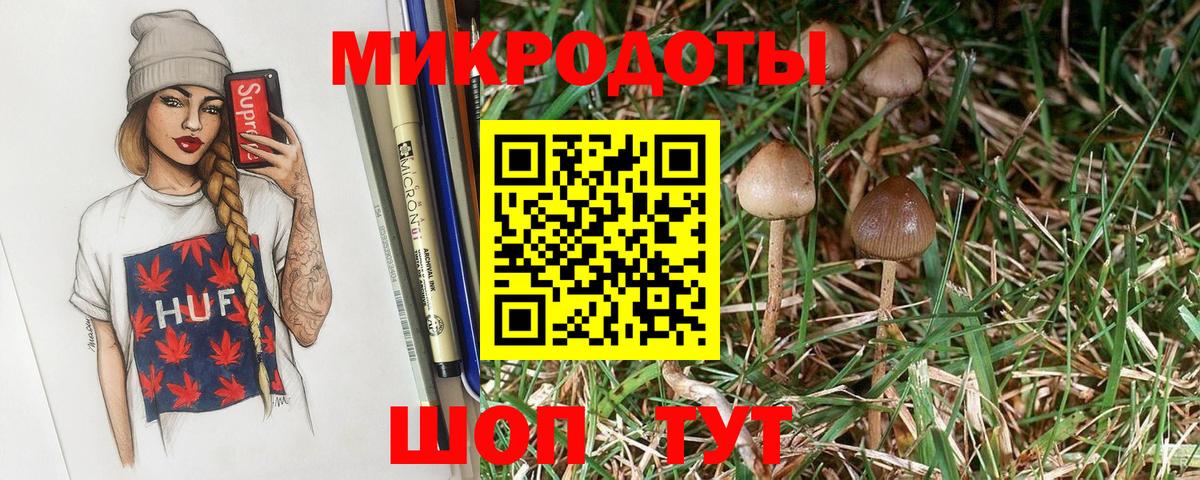 Псилоцибиновые грибы Psilocybe Жуковский
