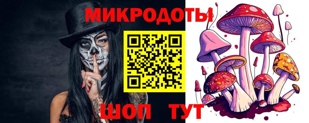 Псилоцибиновые грибы Psilocybe Жуковский
