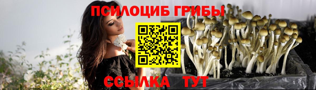 Галлюциногенные грибы Жуковский