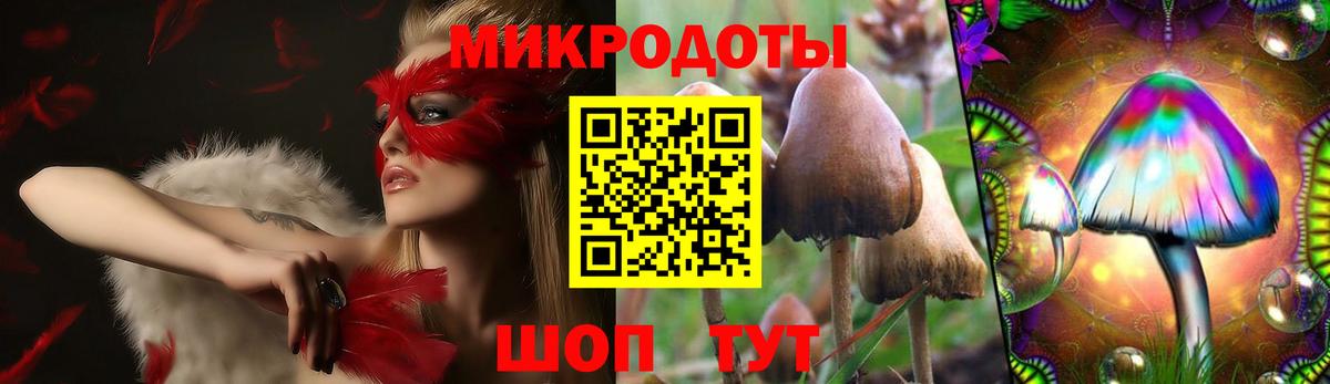 Псилоцибиновые грибы Psilocybine cubensis  Жуковский 