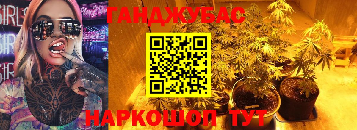 Жуковский  Марихуана план  Марихуана Bruce Banner  Шишки марихуана гибрид  Вход с VPN 